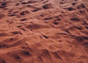 شگفت انگیز مثل لوت+ فیلم