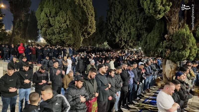 عکس/ اقامه نماز تراویح در دهمین شب رمضان در مسجدالاقصی