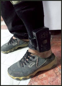 پنهان شدن سارق زیر سینک ظرفشویی +عکس