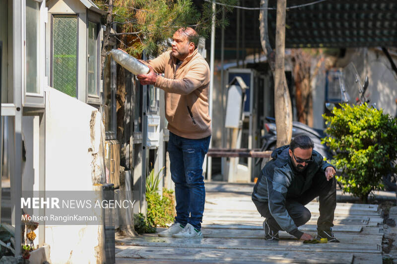 زیارت قبور شهدا در آخرین پنجشنبه سال