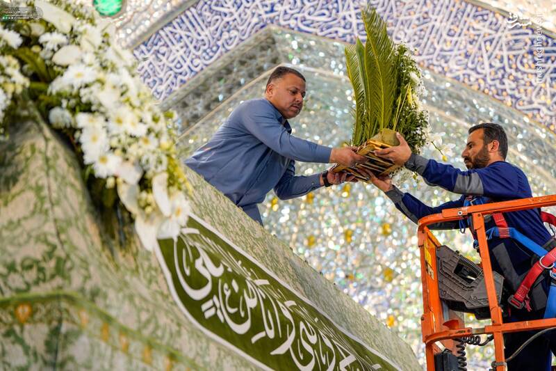 عکس/ گلآرایی ضریح امیرالمومنین برای ولادت کریم اهلبیت