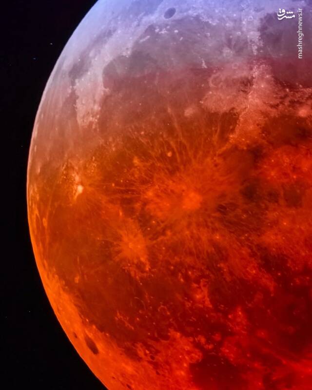بهترین تصاویر از "ماهگرفتگی کامل خونین"