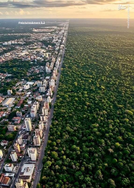 جایی که تمدن متوقف و پادشاهی مطلق طبیعت آغاز میشود+عکس