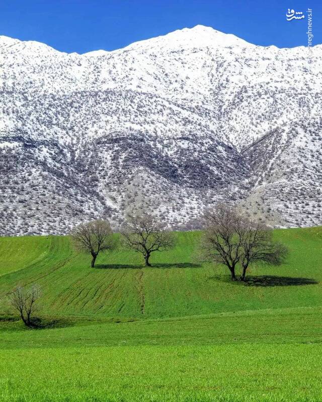 تصویری از سفید کوه در لرستان 2