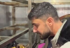 گلی گم کرده‌ام می‌جویم او را