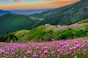 قابی از زیبایی تالش