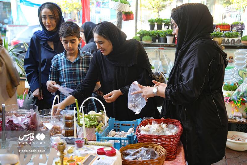 ایران در آستانه نوروز به روایت تصویر 71
