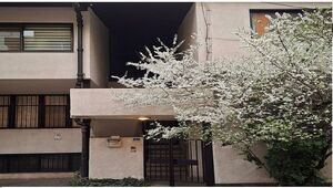 تهران در روزهای آخر اسفند