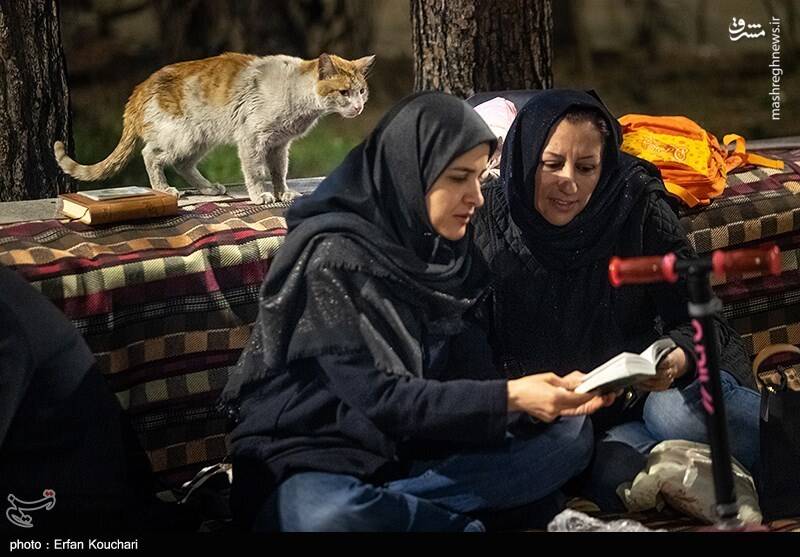 عکس / مراسم احیای شب نوزدهم رمضان در دانشگاه تهران 25