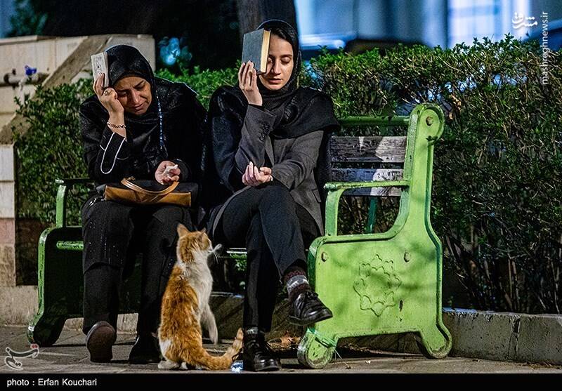 عکس / مراسم احیای شب نوزدهم رمضان در دانشگاه تهران 20