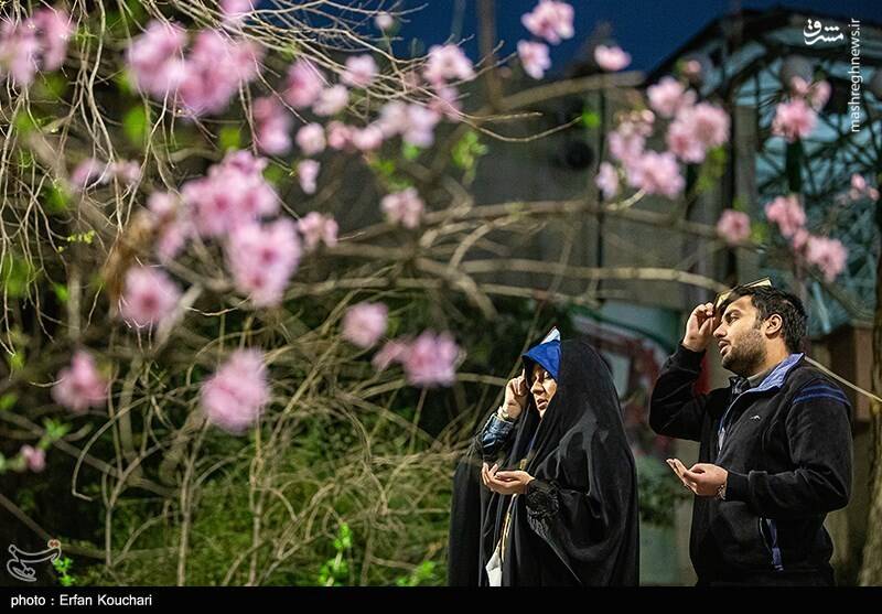 عکس / مراسم احیای شب نوزدهم رمضان در دانشگاه تهران 3