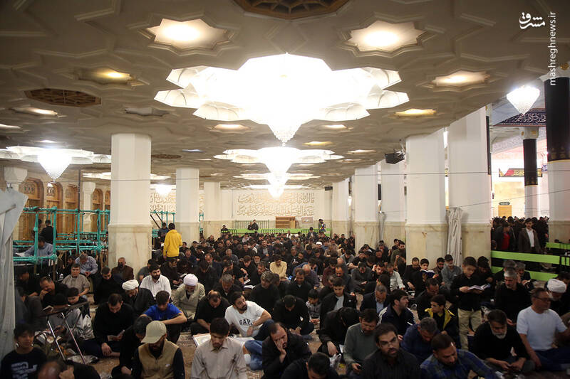 عکس / احیای شب 19 ماه مبارک رمضان در حرم حضرت معصومه (س) 12