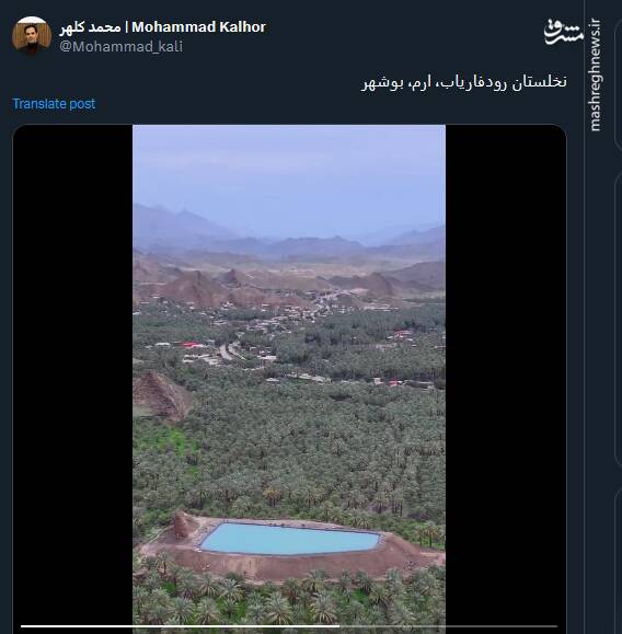 تصاویری از نخلستان رودفاریاب