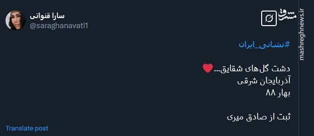 تصویری از دشت گلهای شقایق در آذربایجان شرقی