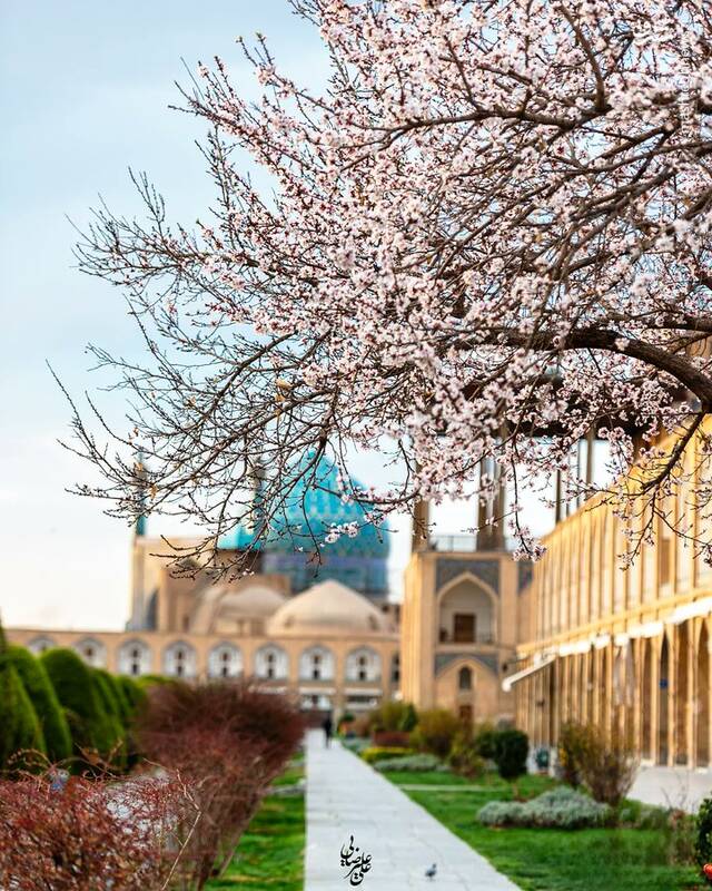 بوی بهار در میدان نقش جهان اصفهان+ عکس