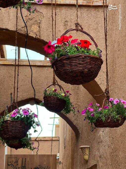 تصاویری از یزد بهاری 1404 4