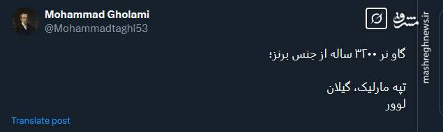 تصویری از گاو نر ۳۲۰۰ ساله از جنس برنز