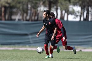 بازیکن پرسپولیس خیال کارتال را راحت کرد