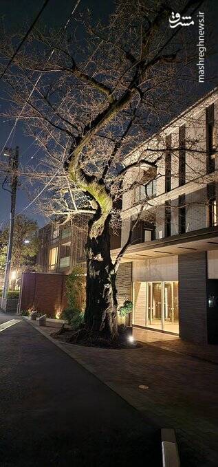 شب گردی در توکیو به روایت تصویر