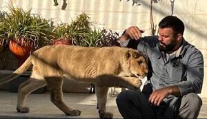 ماجرای توله شیری که دزدگیر خانه قهرمان کشتی فرنگی جهان بود