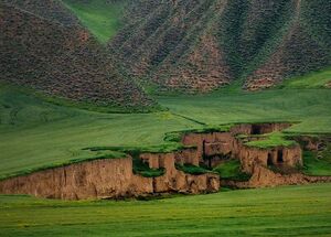 تصویری از طبیعت زیبای ترکمن صحرا