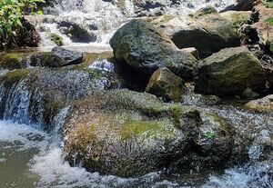 آبشار لاشو در کجا قرار دارد؟+ عکس و علت نامگذاری