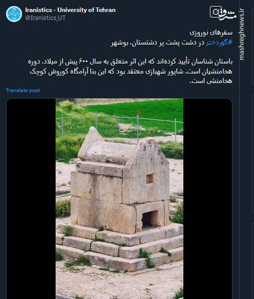 تصاویری حیرت آور از گوردختر در دشت پشت پر دشتستان، بوشهر