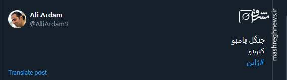 تصویری از جنگل بامبو در کیوتو