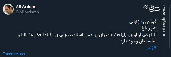 تصویری از گوزن زرد ژاپنی