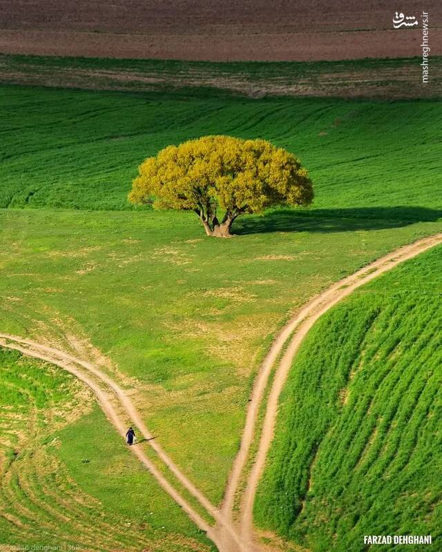 تصویری از زیبایی منطقه بسطام در لرستان