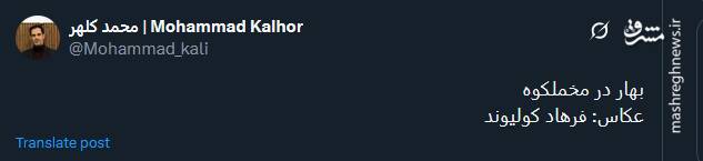 روایت بهار در مخملکوه+ عکس