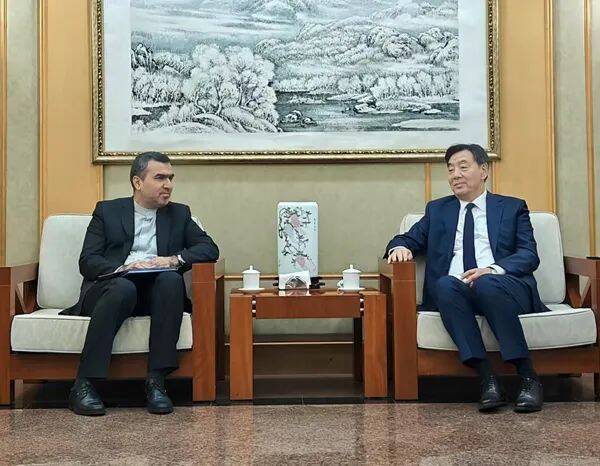 تاکید چین بر همکاری اعضای بریکس برای برقراری صلح پایدار در خاورمیانه