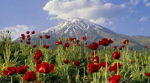 پیام سخنگوی وزارت امور خارجه در شبکه ایکس به مناسبت روز طبیعت