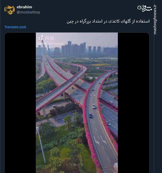 استفاده از گلهای کاغذی در امتداد بزرگراه در چین+ فیلم