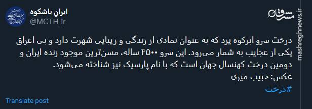 مسنترین موجود زنده ایران+ عکس