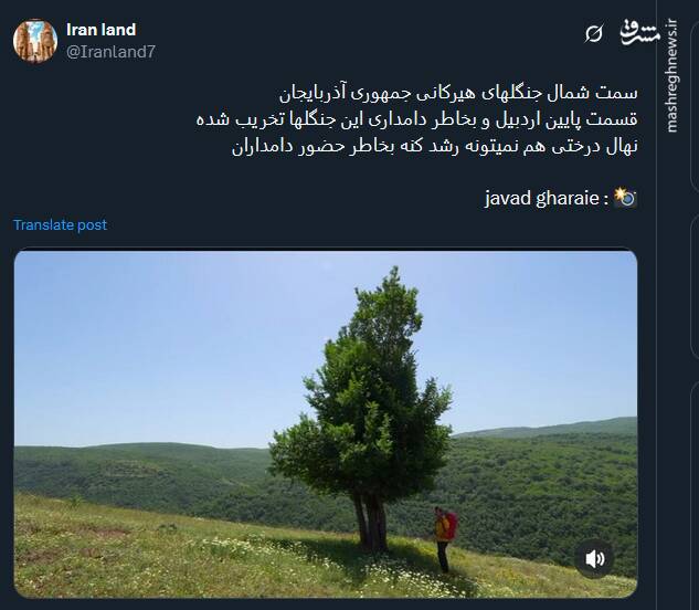 سمت شمال جنگلهای هیرکانی جمهوری آذربایجان + عکس