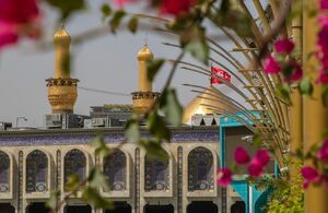 عکس/ بهار در بین‌الحرمین