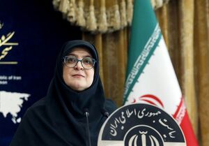 فیلم/ مهاجرانی: نگاه راهبردی به عربستان داریم