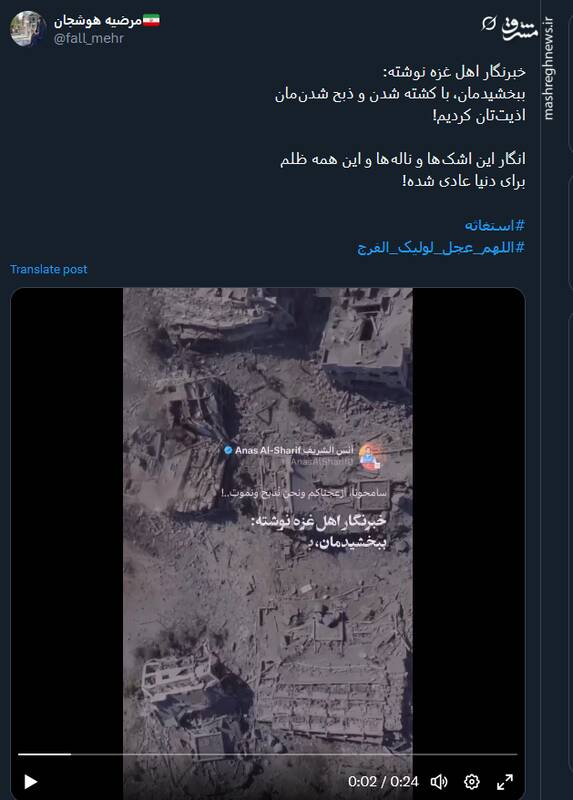 ببخشید، با کشته شدن و ذبح شدنمان اذیتتان کردیم!+ فیلم