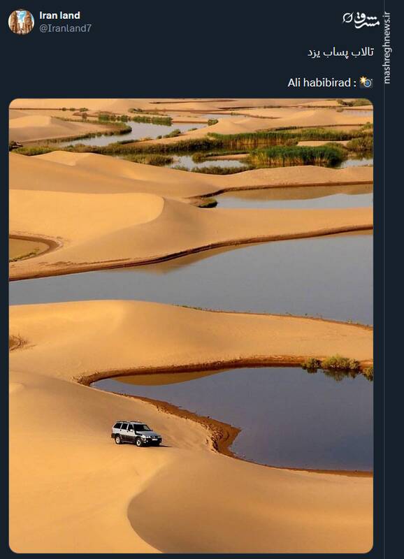 تصویری از زیبایی تالاب پساب یزد