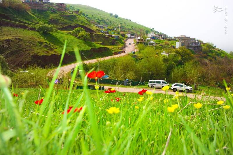 تصاویری از بهار حلبچه در شمال عراق