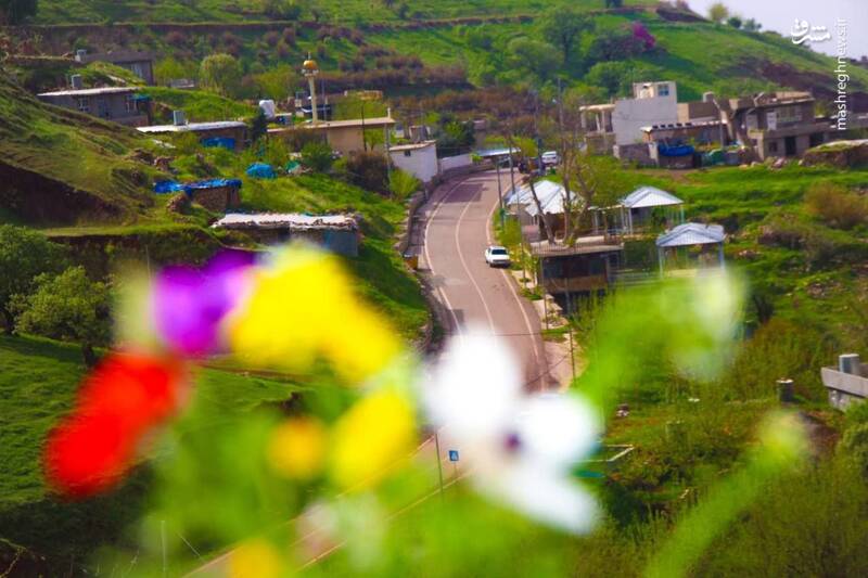 تصاویری از بهار حلبچه در شمال عراق