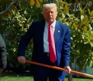 آیا ترامپ بدنبال تاکید بر پیوند با سنت‌های تاریخی آمریکاست؟+ فیلم