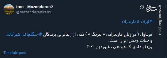 ویدئویی از زندگی قرقاولها