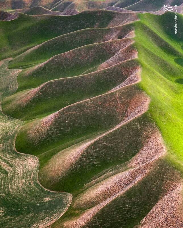 تصویری از طببعت زیبای ترکمن صحرا