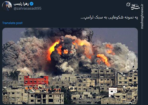 یه نمونه شکوفایی به سبک ترامپ+ عکس