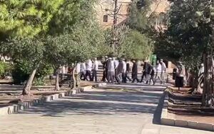 فیلم/ تعرض شهرک‌نشینان صهیونیست به مسجدالاقصی
