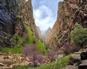 تصویری از طبیعت شگفت‌انگیز زاگرس
