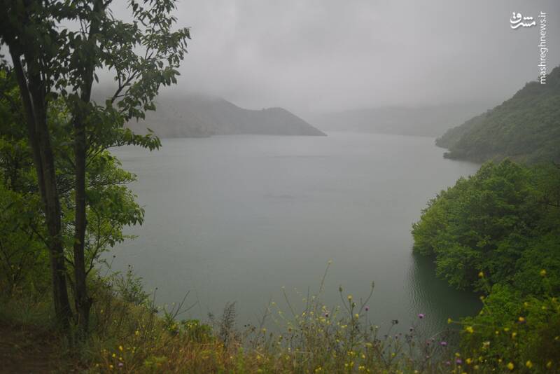 تصاویری از لطافت بهاری در جنگلهای ساری