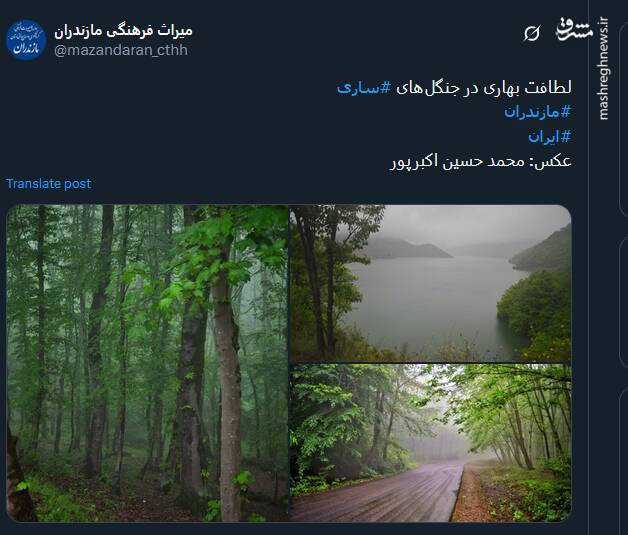 تصاویری از لطافت بهاری در جنگلهای ساری